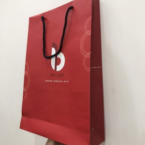 In Túi Giấy