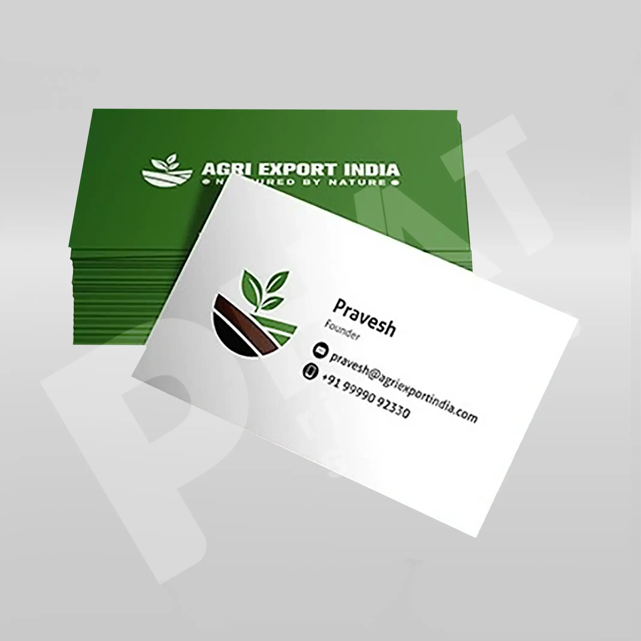 In Card Visit Giá Rẻ Offset 1 name card 2
