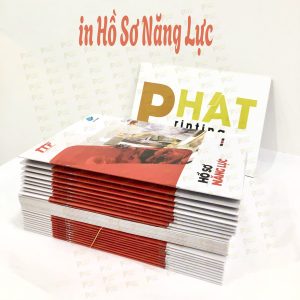 In Hồ Sơ Năng Lực 2 Tại Sao Nhà in Phát Là Lựa Chọn Hoàn Hảo Cho Dịch Vụ In Hồ Sơ Năng Lực Của Bạn?