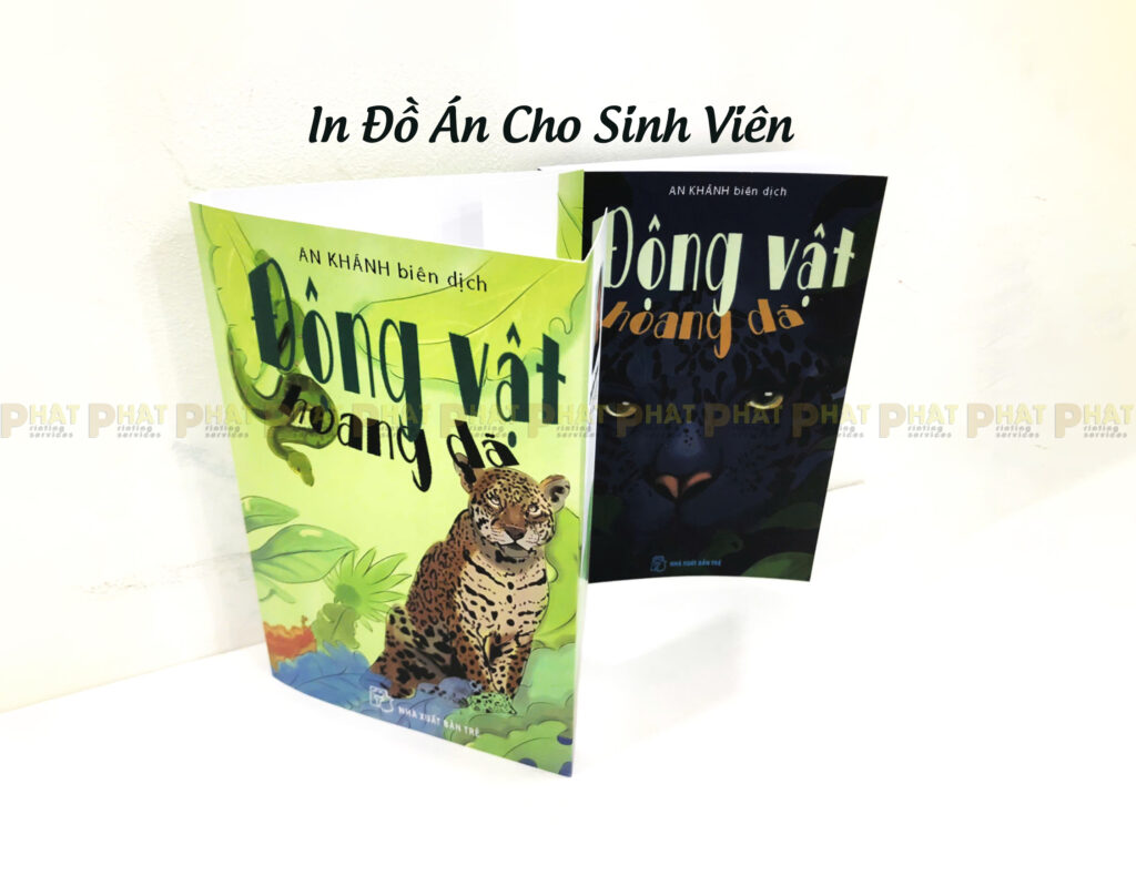 In Đồ Án Cần Thơ - In Đồ Án Cho Sinh Viên Cần Thơ 3 In Đồ Án Cần Thơ Cho Sinh Viên tại Nhà in Phát